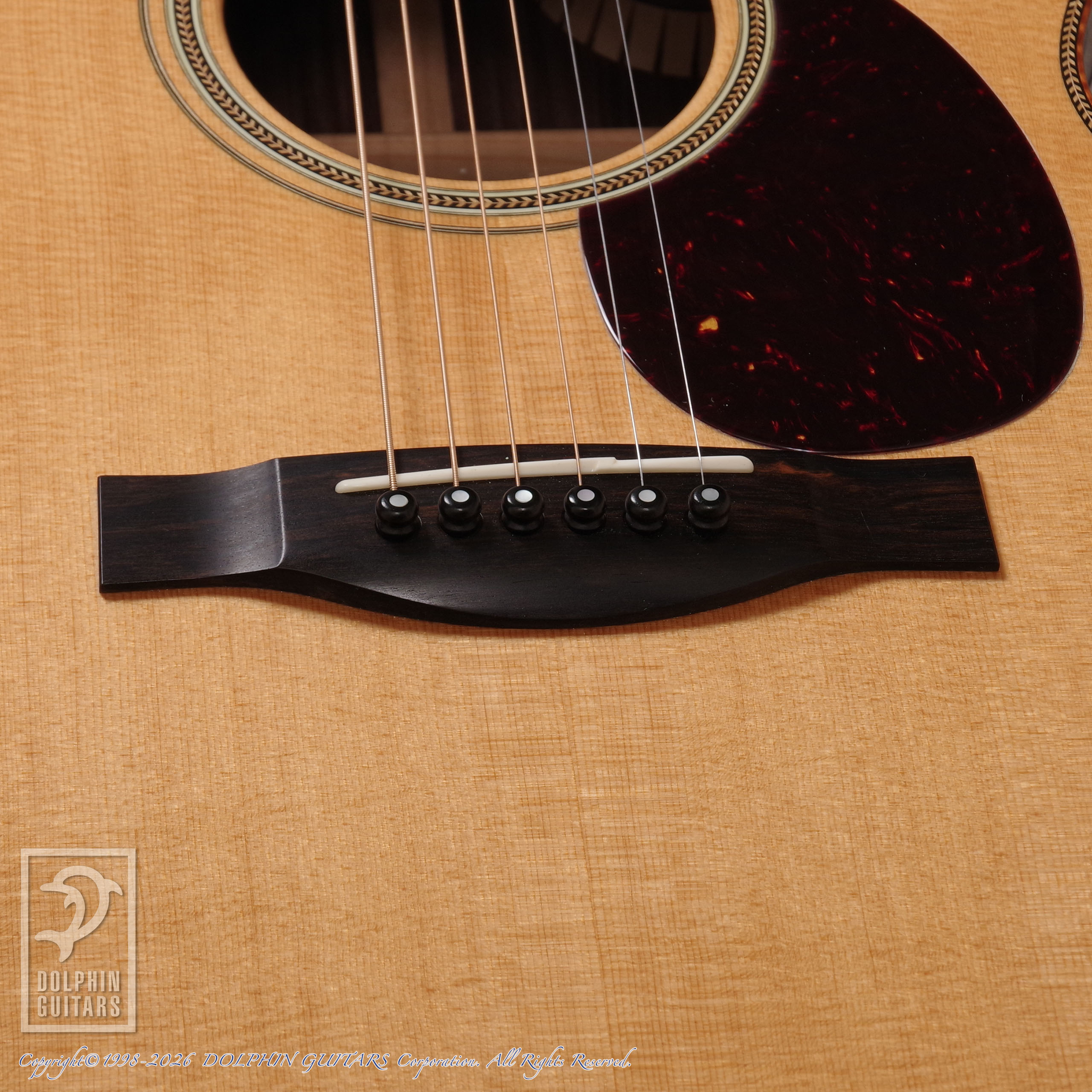 SANTA CRUZ:OM Cutaway (Short Scale)画像11