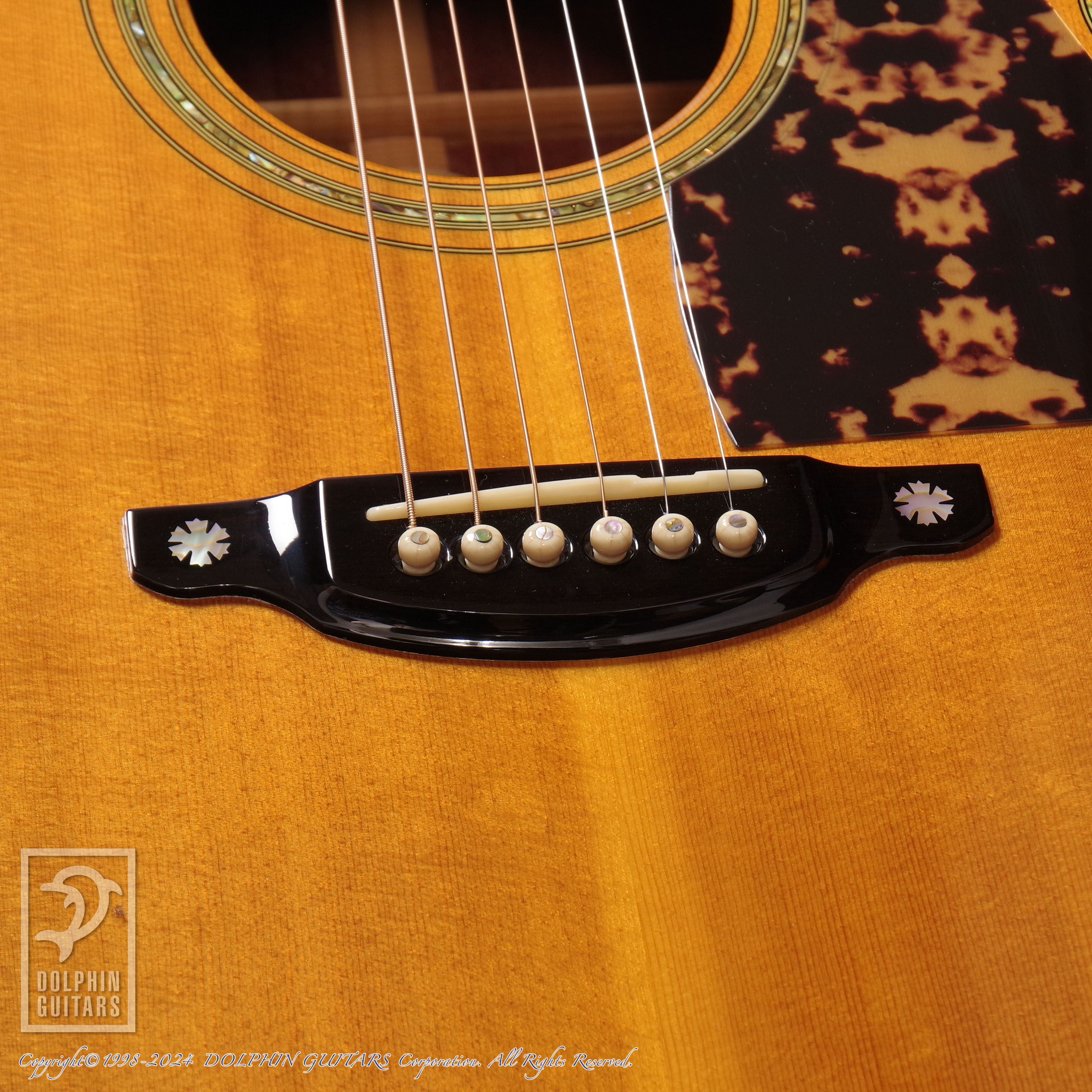 Shelly:SS-MI画像11