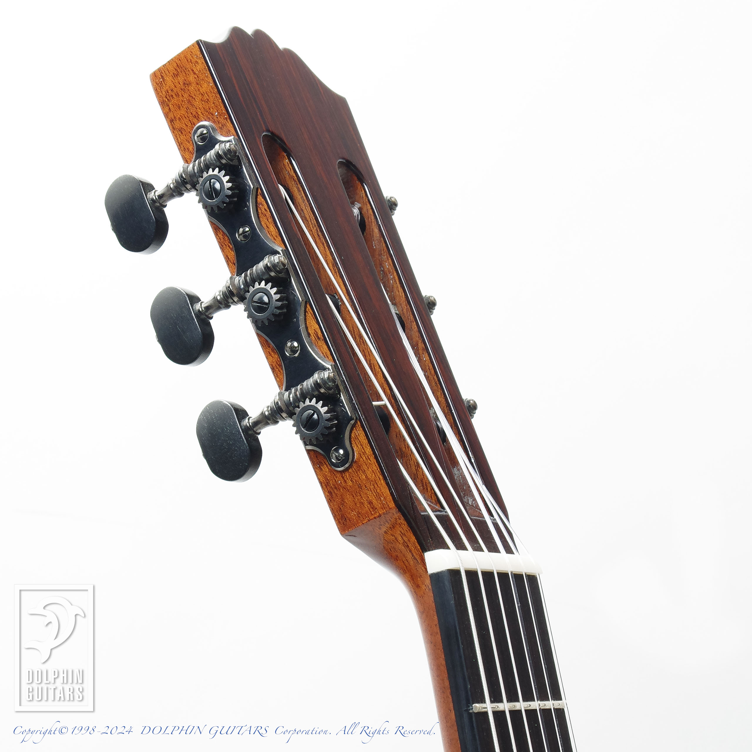 SUGITA KENJI:Classic Model (Metasequoia & Vintage Yama Zakura)画像7