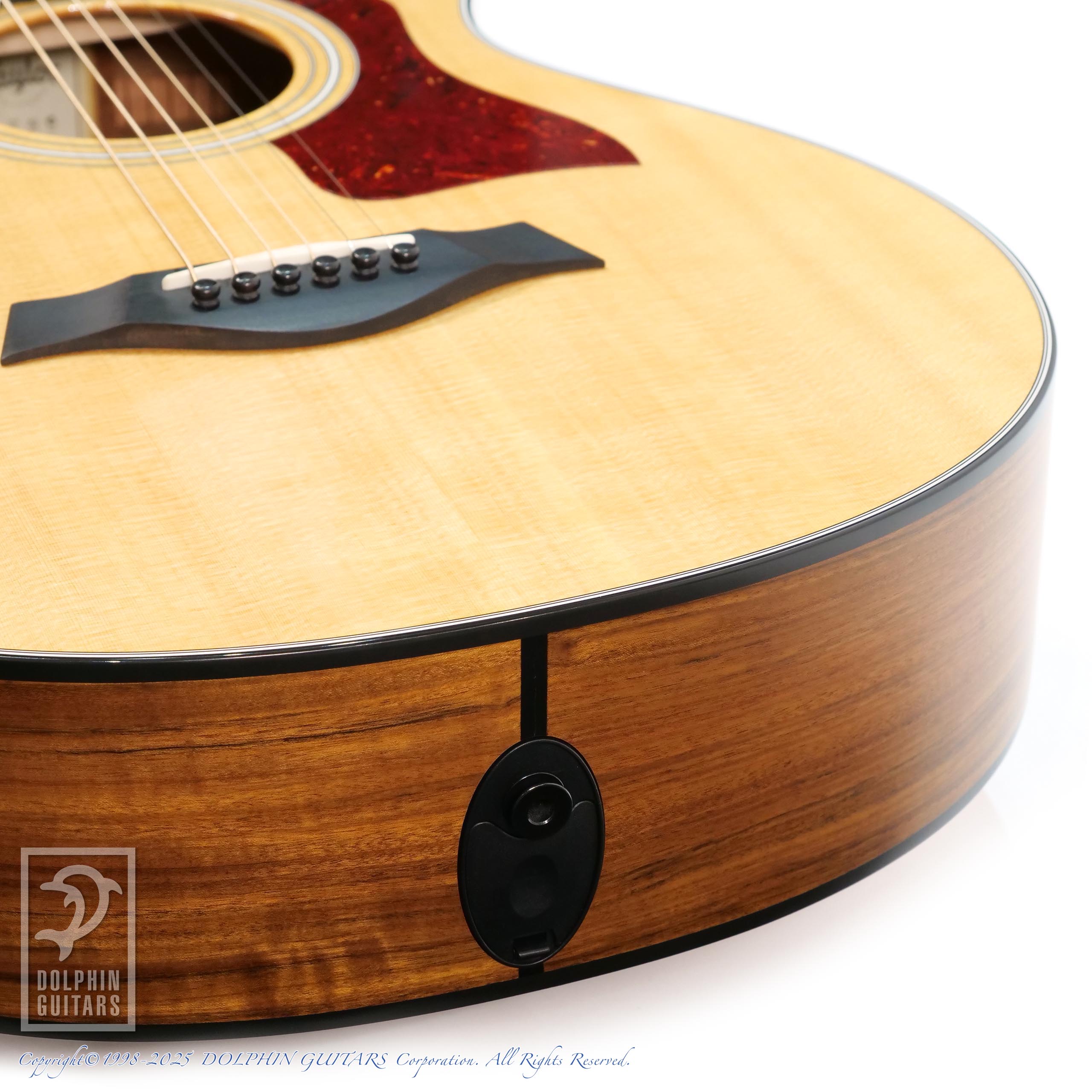 動画】Taylor 355ce ES1 12弦 アコースティックギター 動画】Taylor