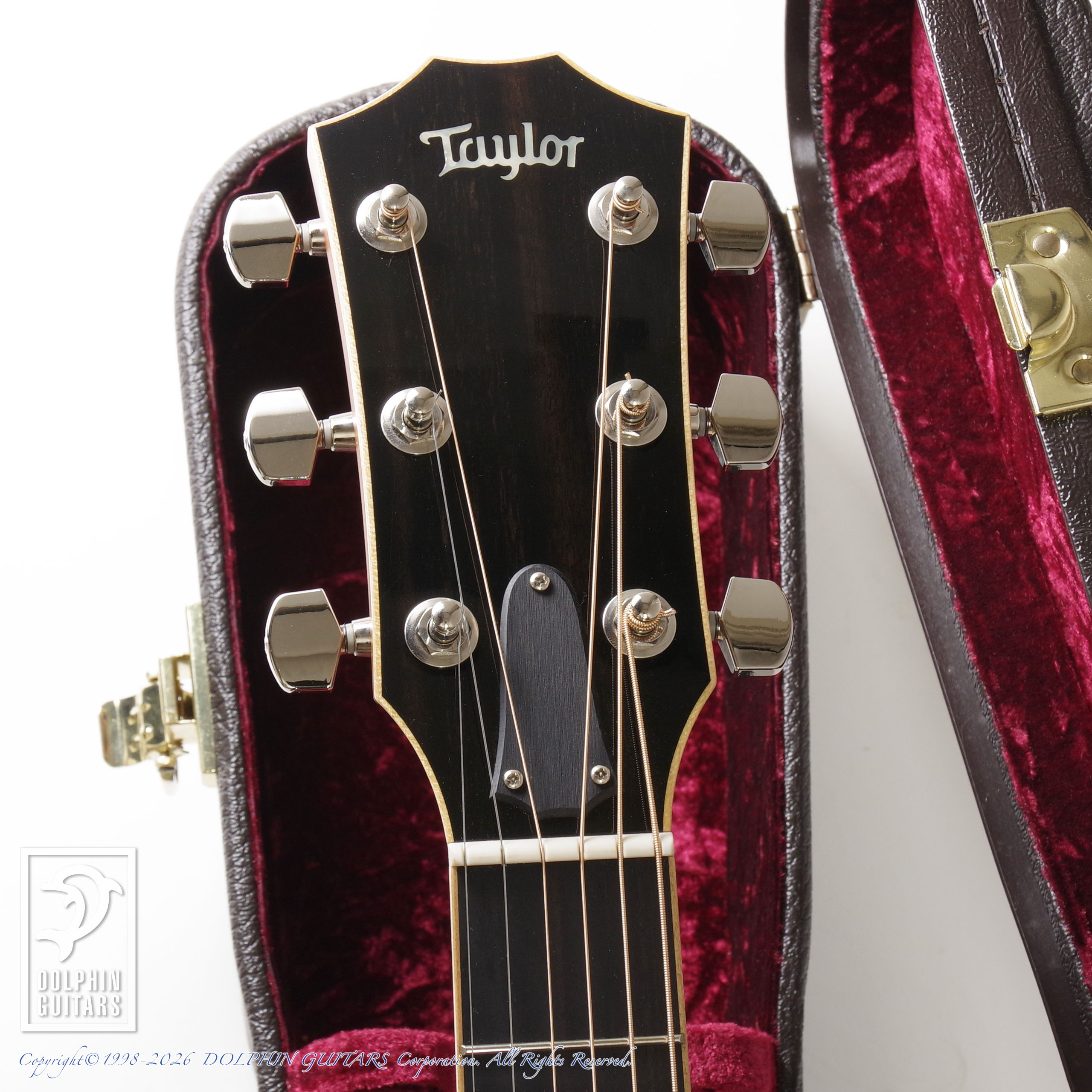 TAYLOR:814ce (Left Hand)画像6
