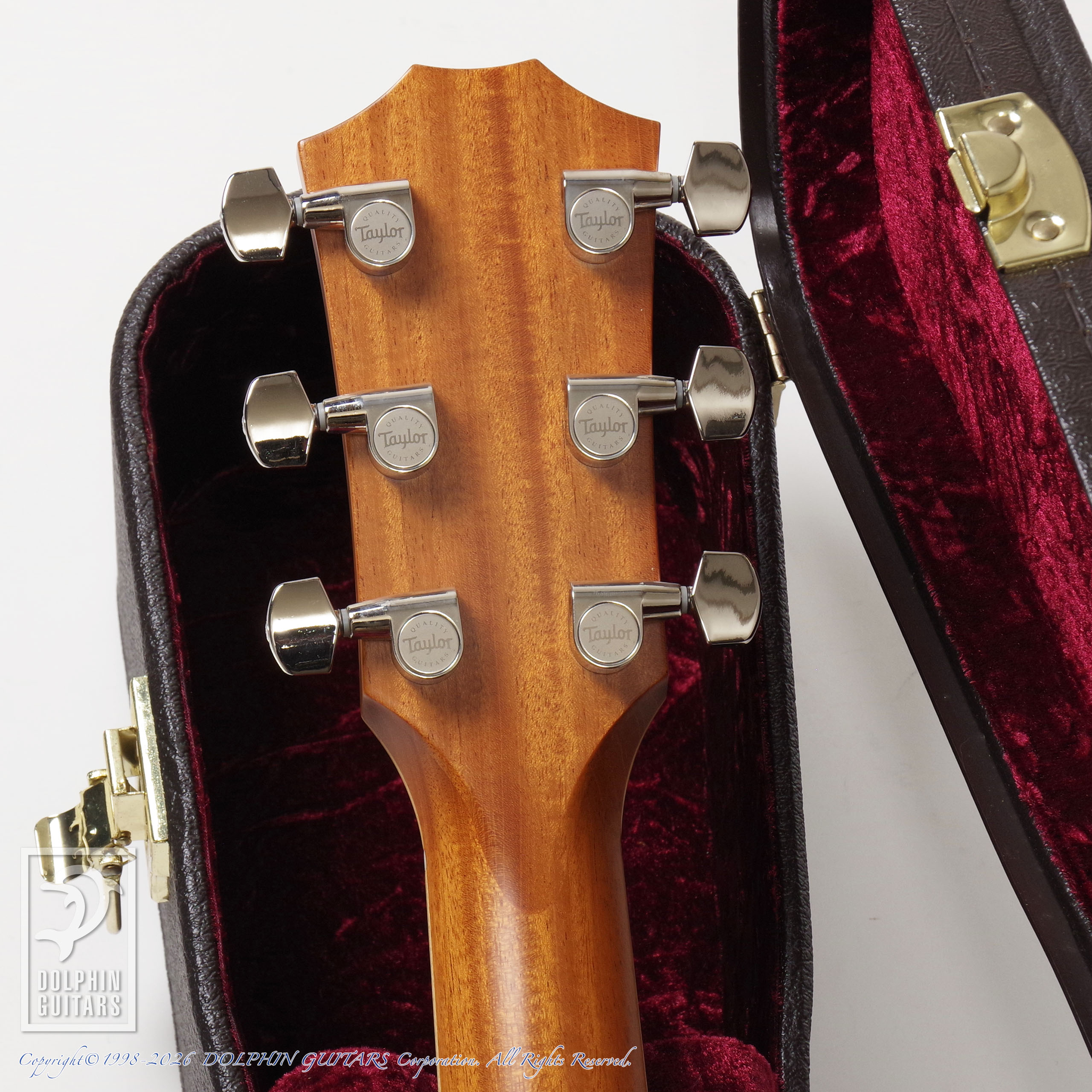 TAYLOR:814ce (Left Hand)画像7