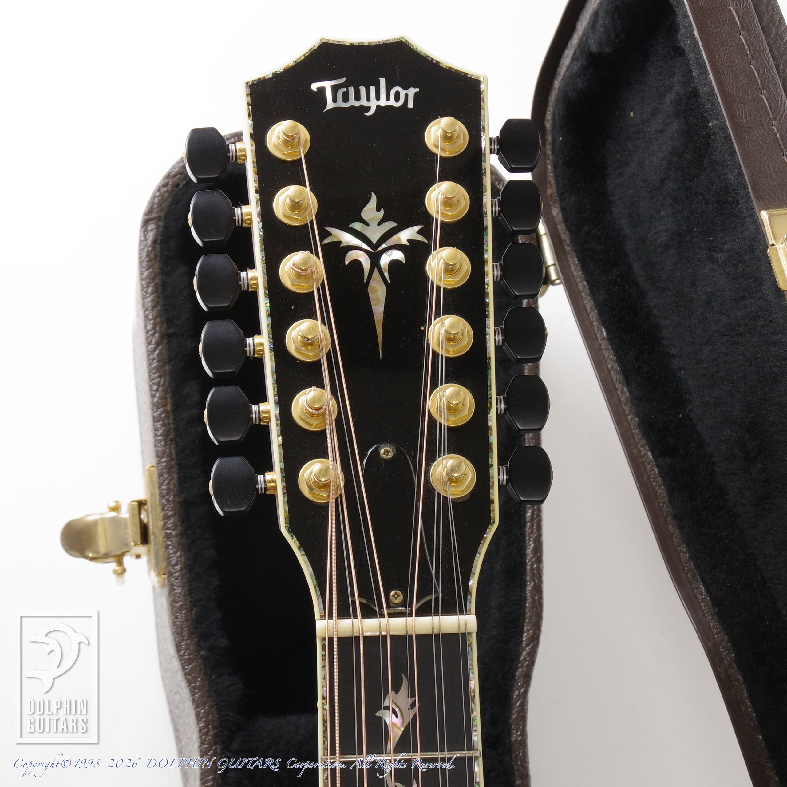 TAYLOR:PS-54ce Presentation (Jacaranda)画像5