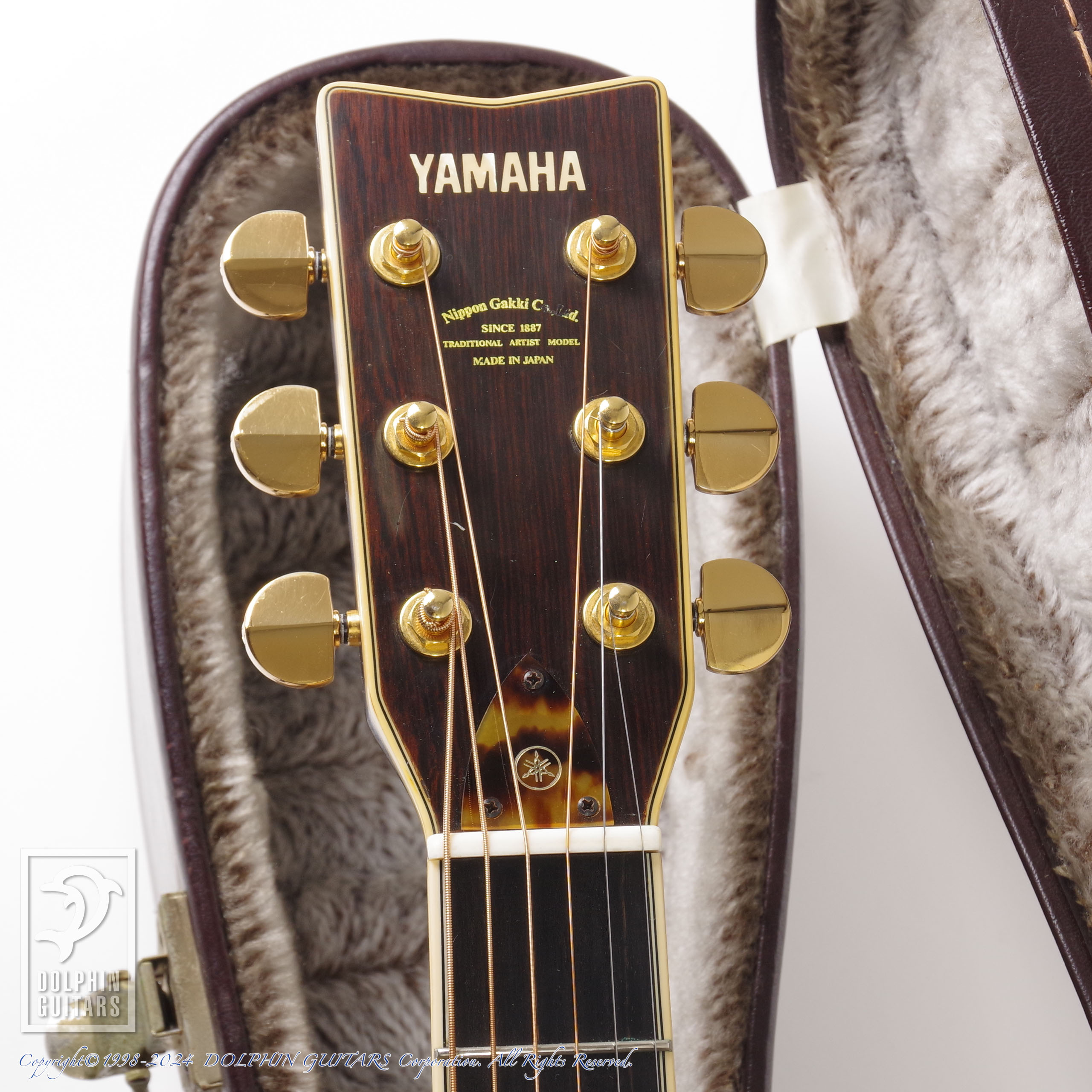 【5/31終了】【良杢目】日本未流通 MONICAアコースティックギター 5/31終了】【良杢目】日本未流通 MONICAアコースティックギター