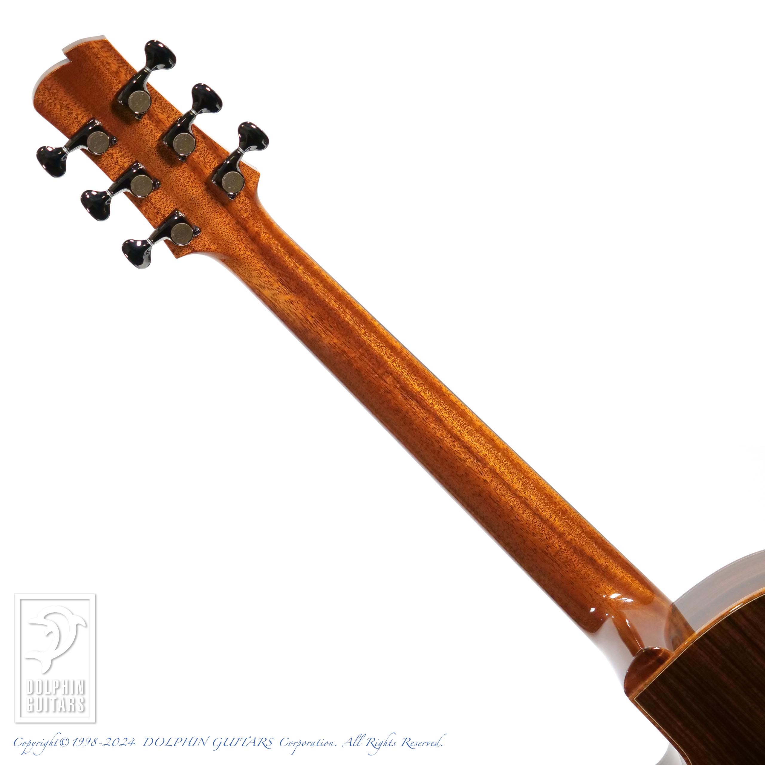 HIDAKA GUITARS MSJ-CW|ドルフィンギターズ