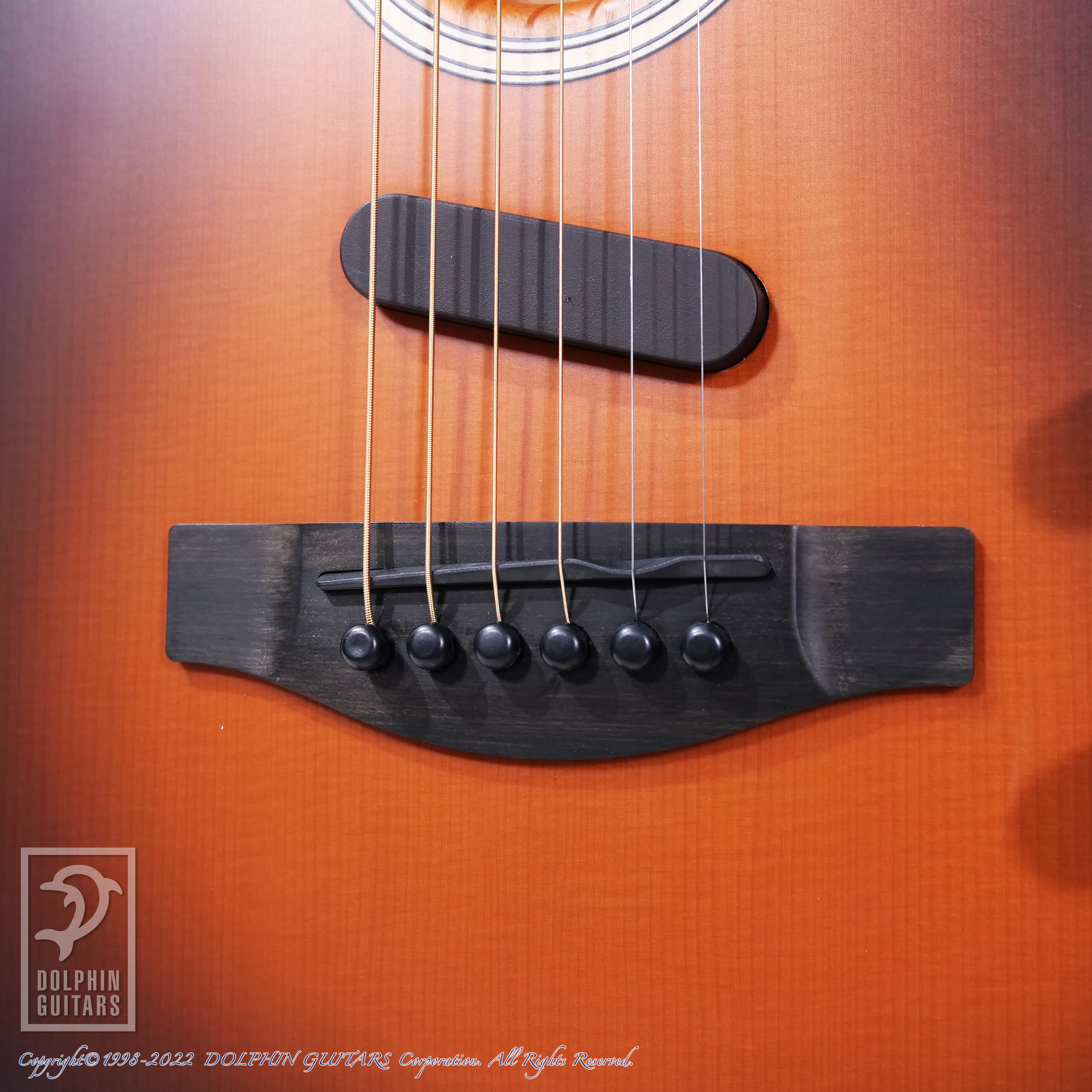 FENDER USA American Acoustasonic Telecaster (Sunburst)|ドルフィン