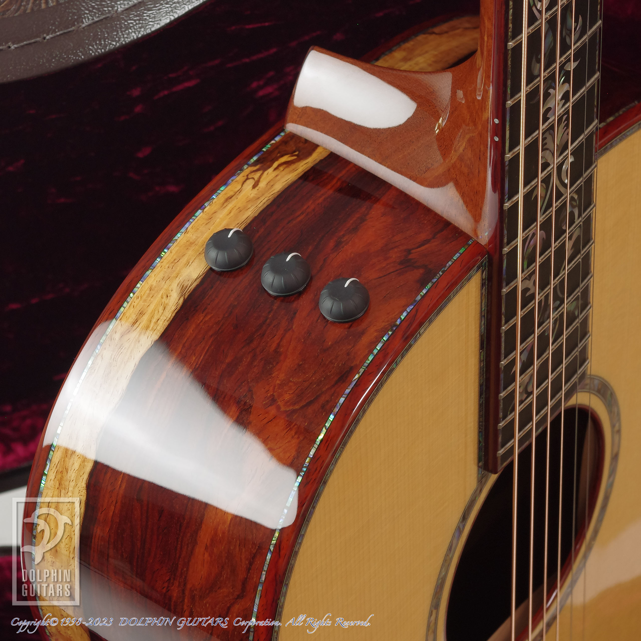 TAYLOR PS-GPe Custom|ドルフィンギターズ