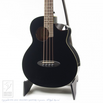 298 aNN-MBS18E (Acoustic Mini Bass)