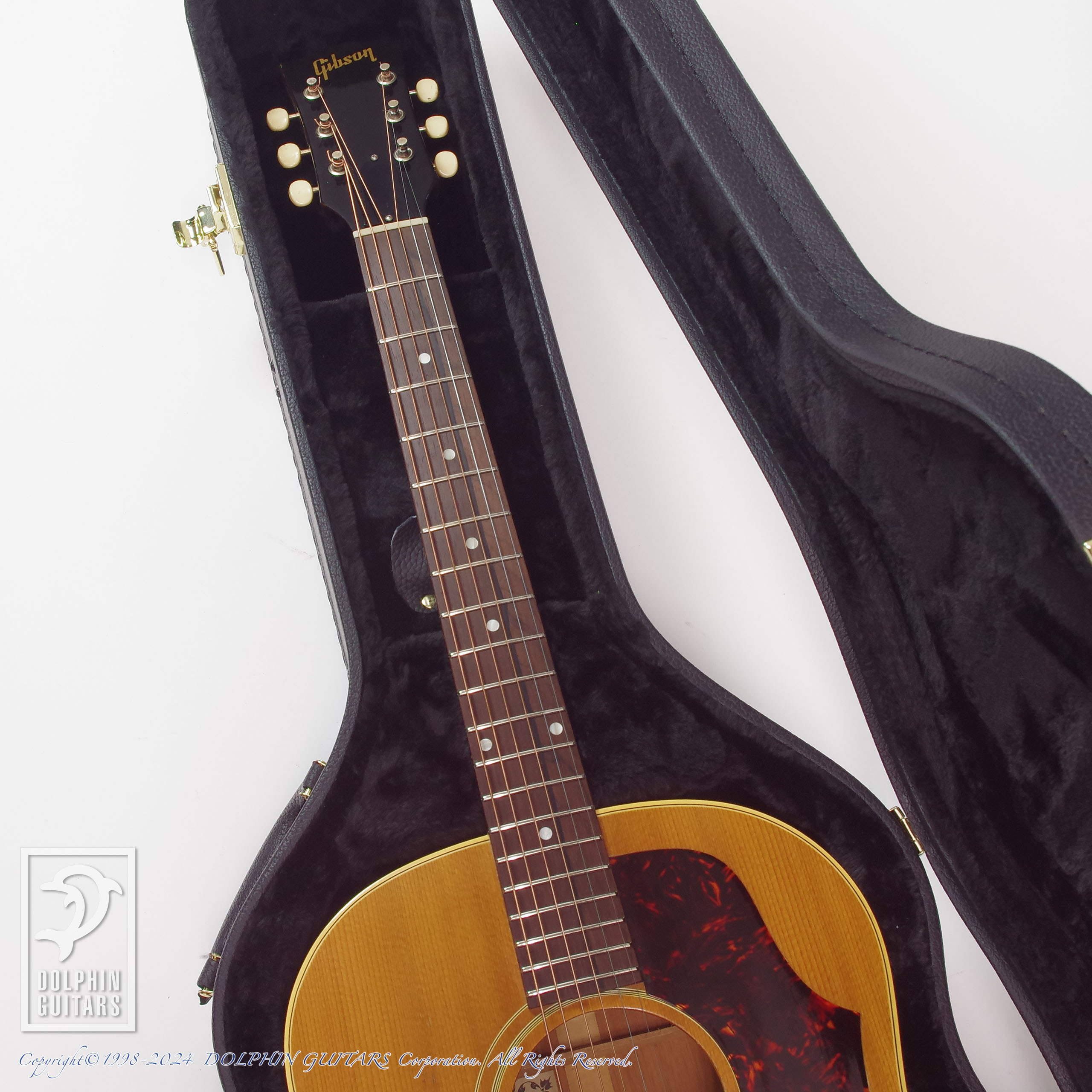 Gibson J-50 ADJ|ドルフィンギターズ