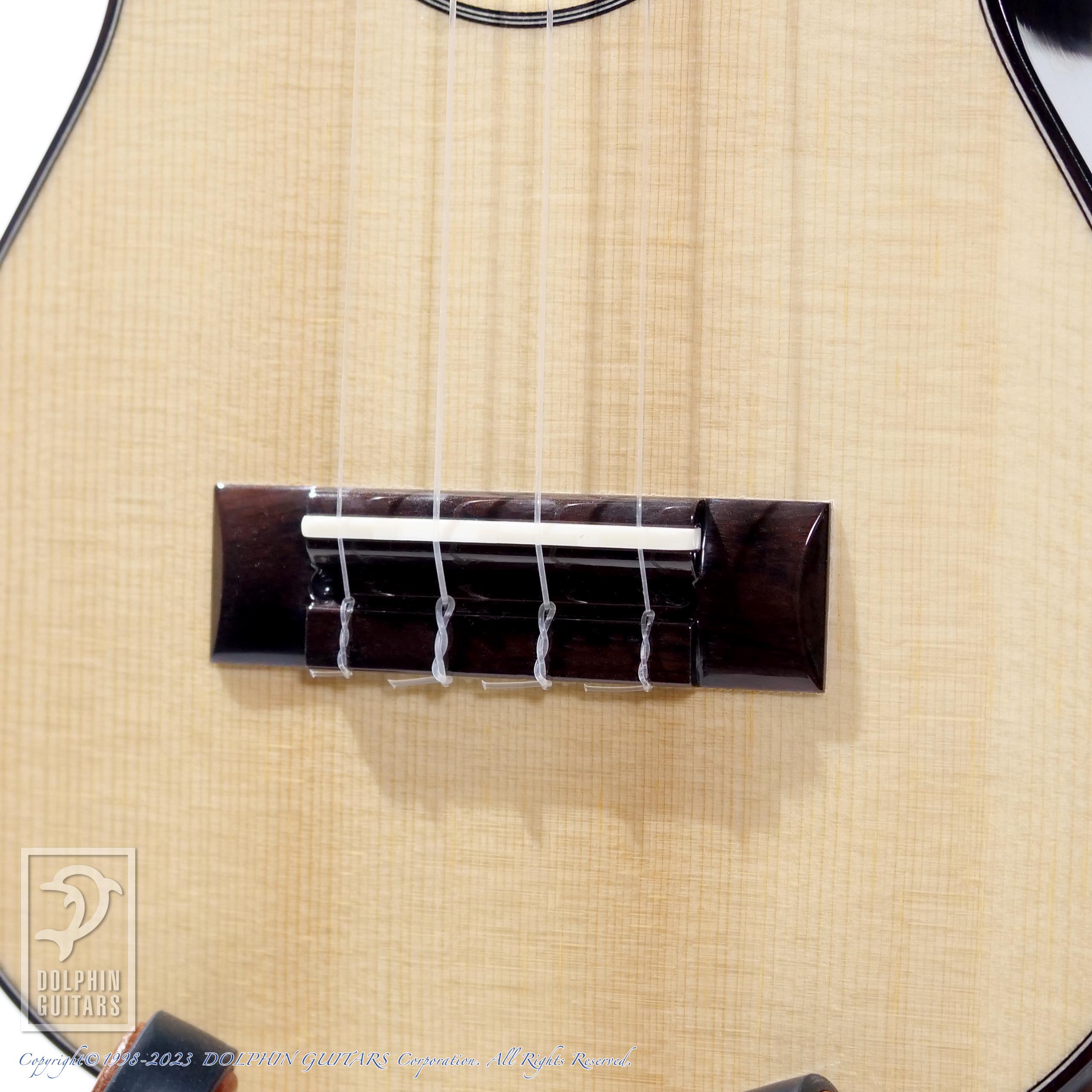 ASTURIAS Solo Ukulele Spruce Rosewood |ドルフィンギターズ