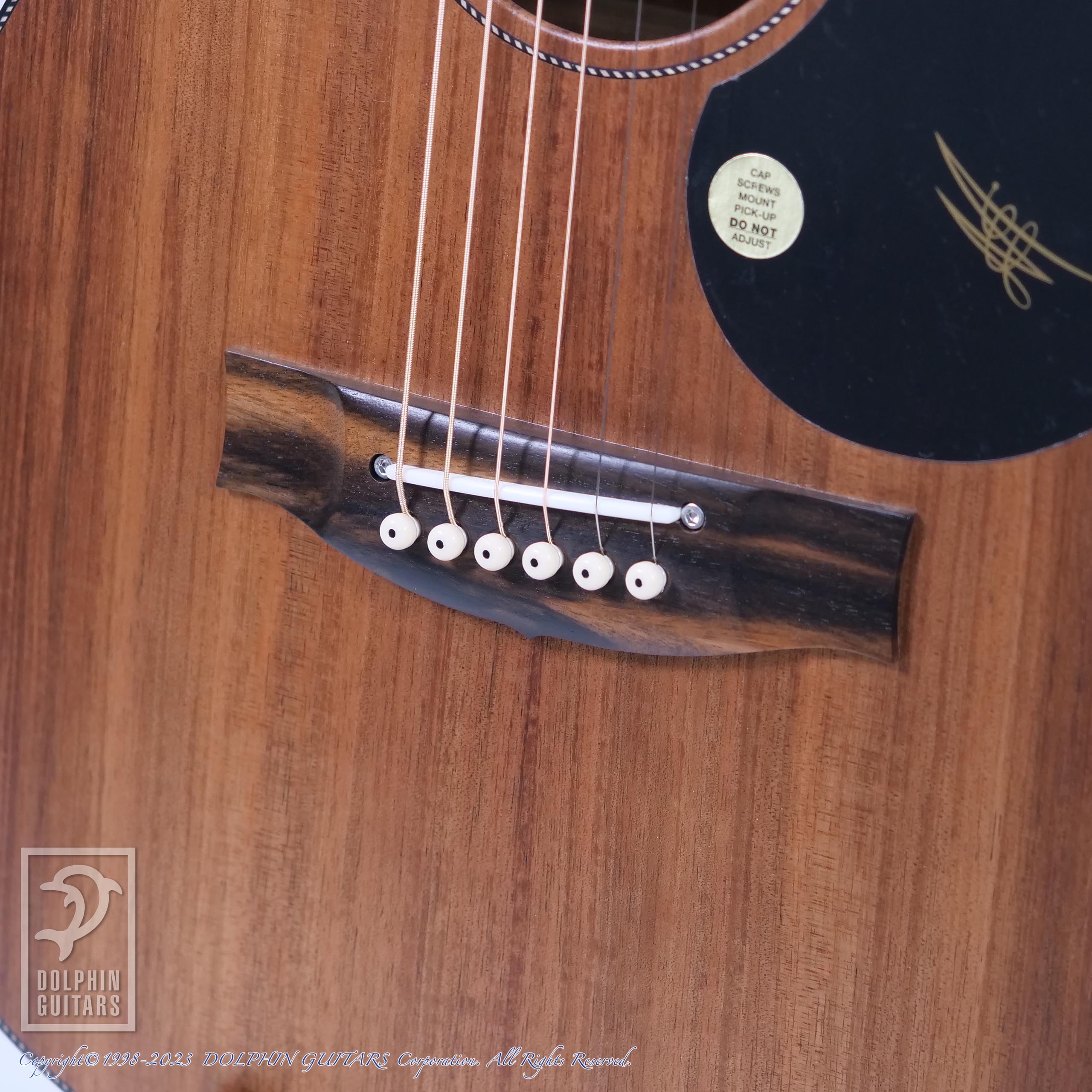 MATON EBW808C|ドルフィンギターズ