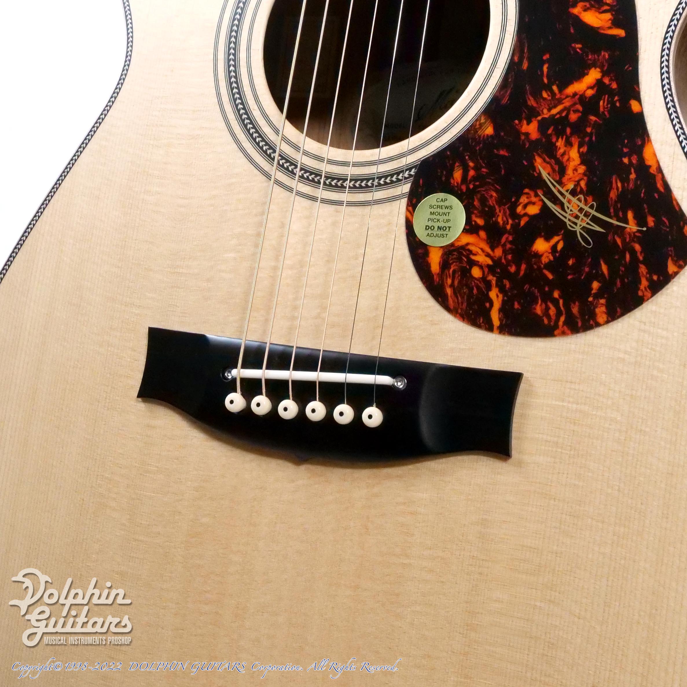 MATON EBG808 Artist|ドルフィンギターズ