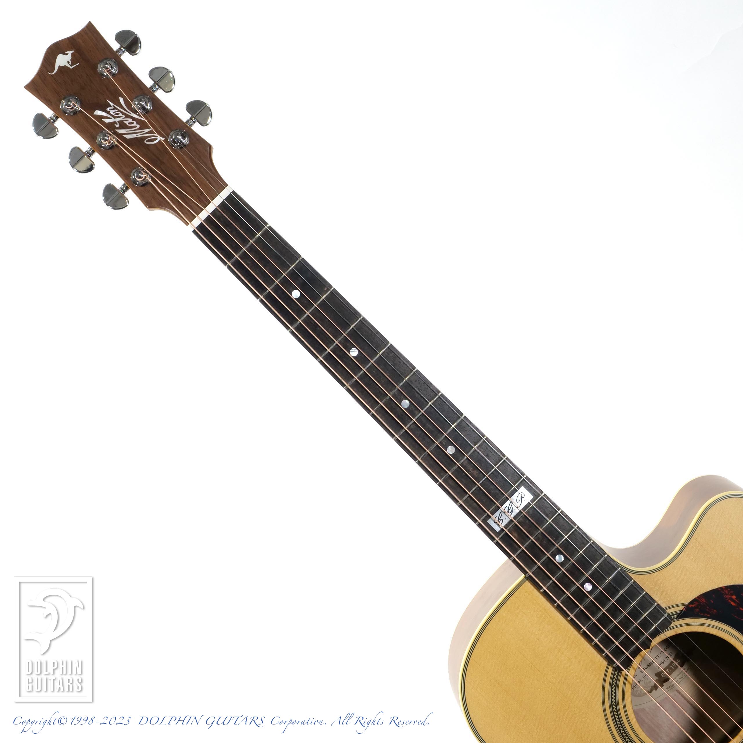 MATON EBG808CTE (Tommy Emmanuel Signature) - ドルフィンギターズ