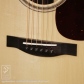 Tony Rice D (Adirondack Spruce)10