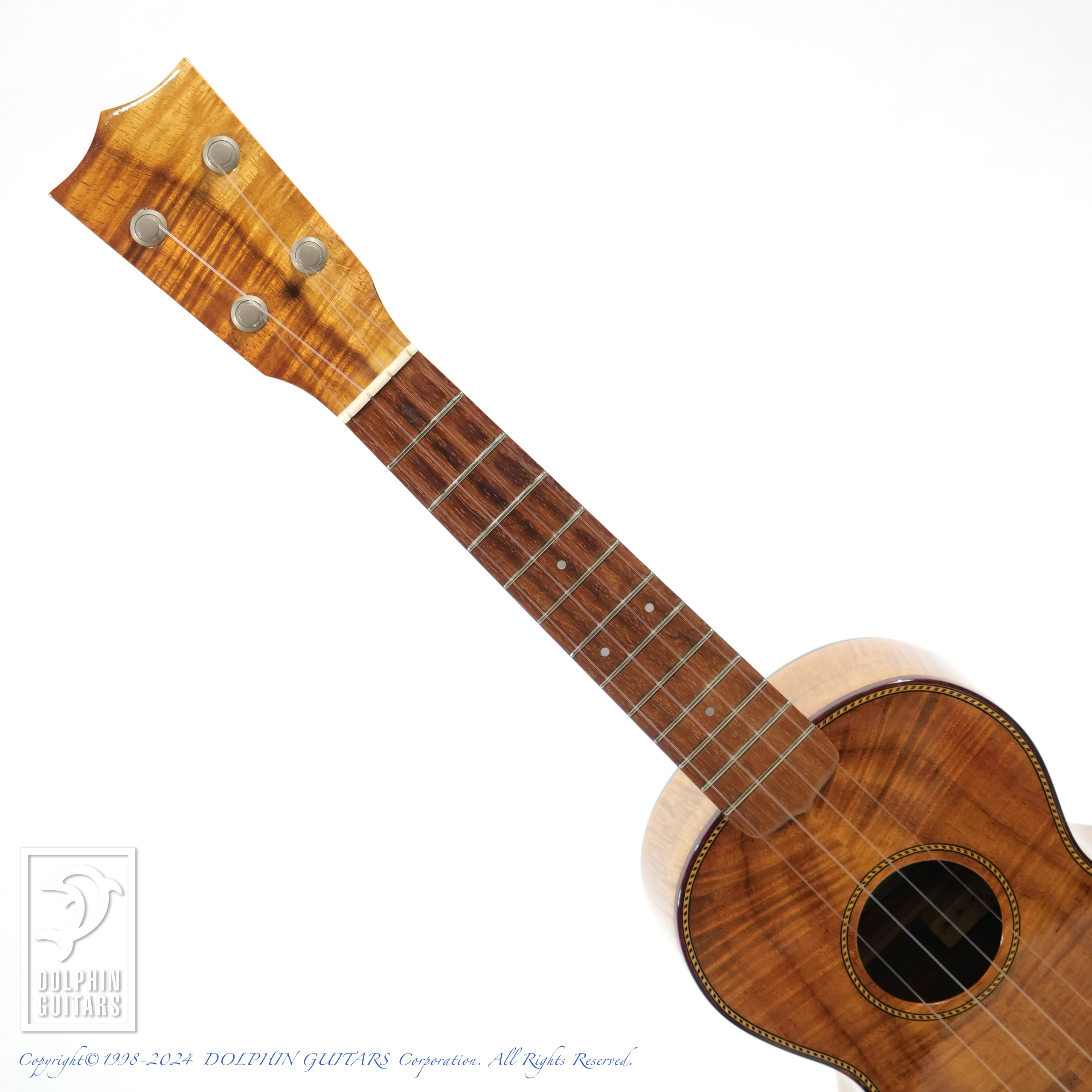 PALM TREE UKULELES Concert Koa|ドルフィンギターズ