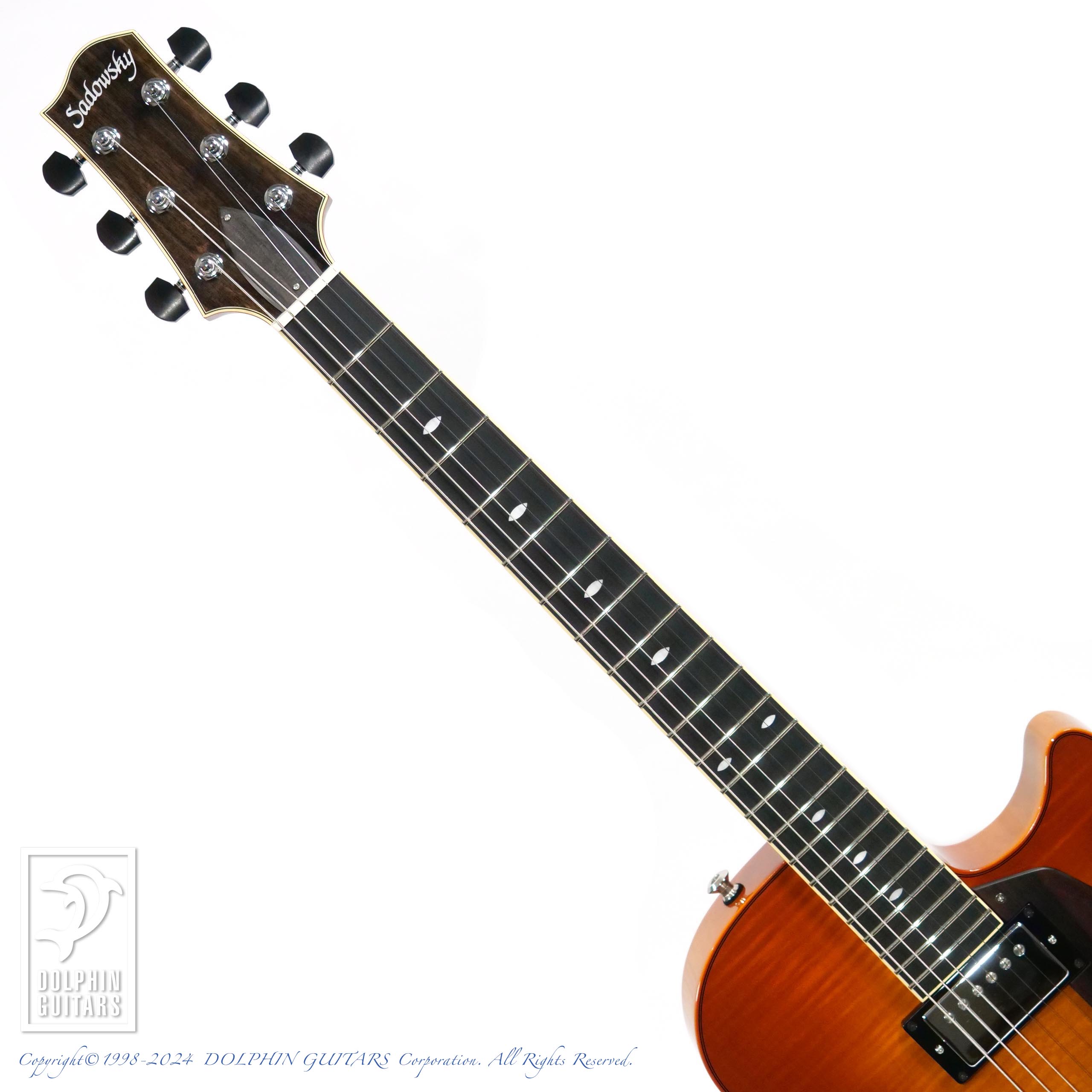 【美品】Sadowsky Semi Hollow Model SADOWSKY Semi Hollow Model (VLB)|ドルフィンギターズ
