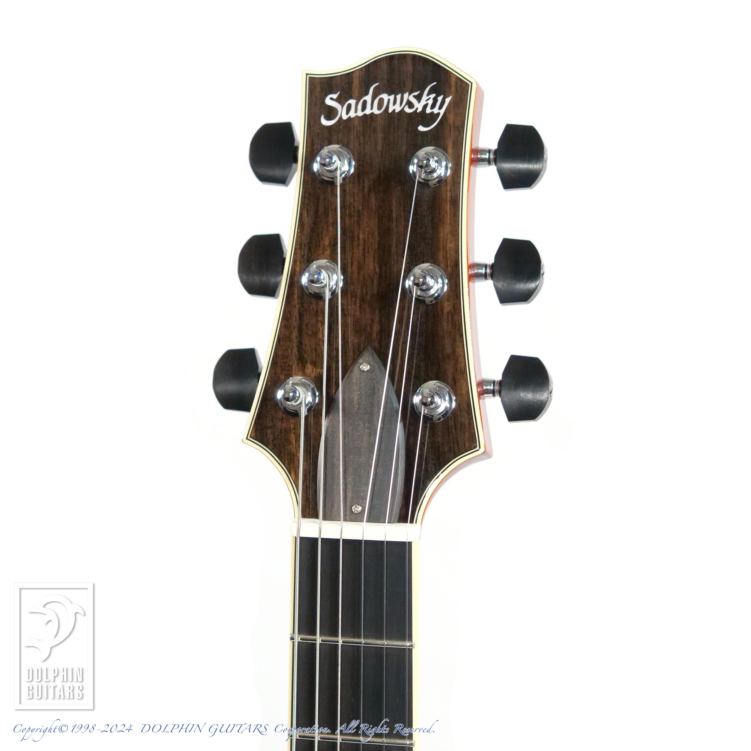 SADOWSKY Semi Hollow Model (VLB)|ドルフィンギターズ