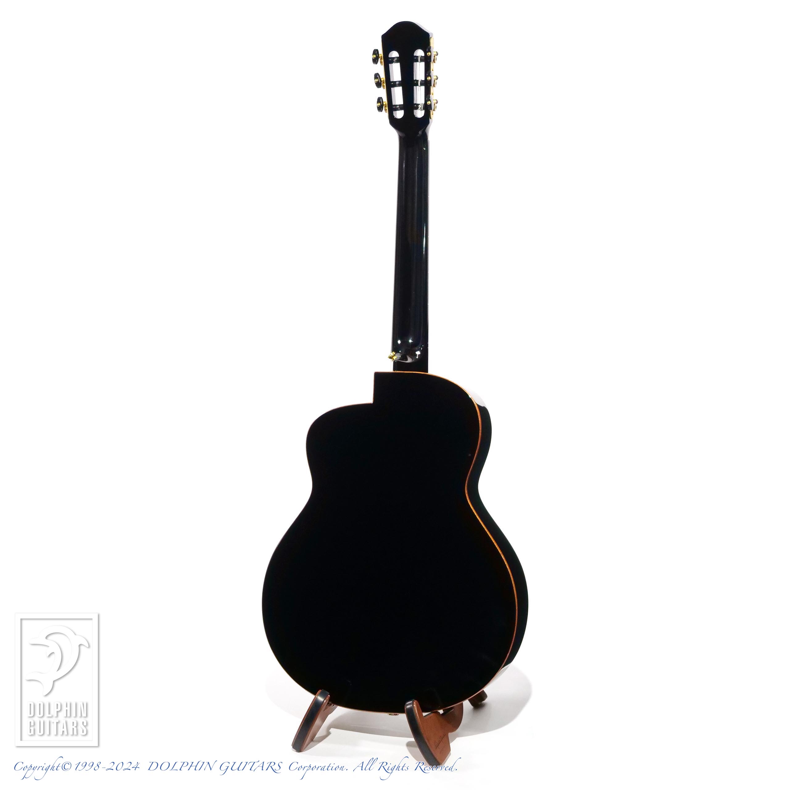 ギター aNueNue/aNN-LN77E aNueNue aNN-LN77E (Nylon Strings)|ドルフィンギターズ