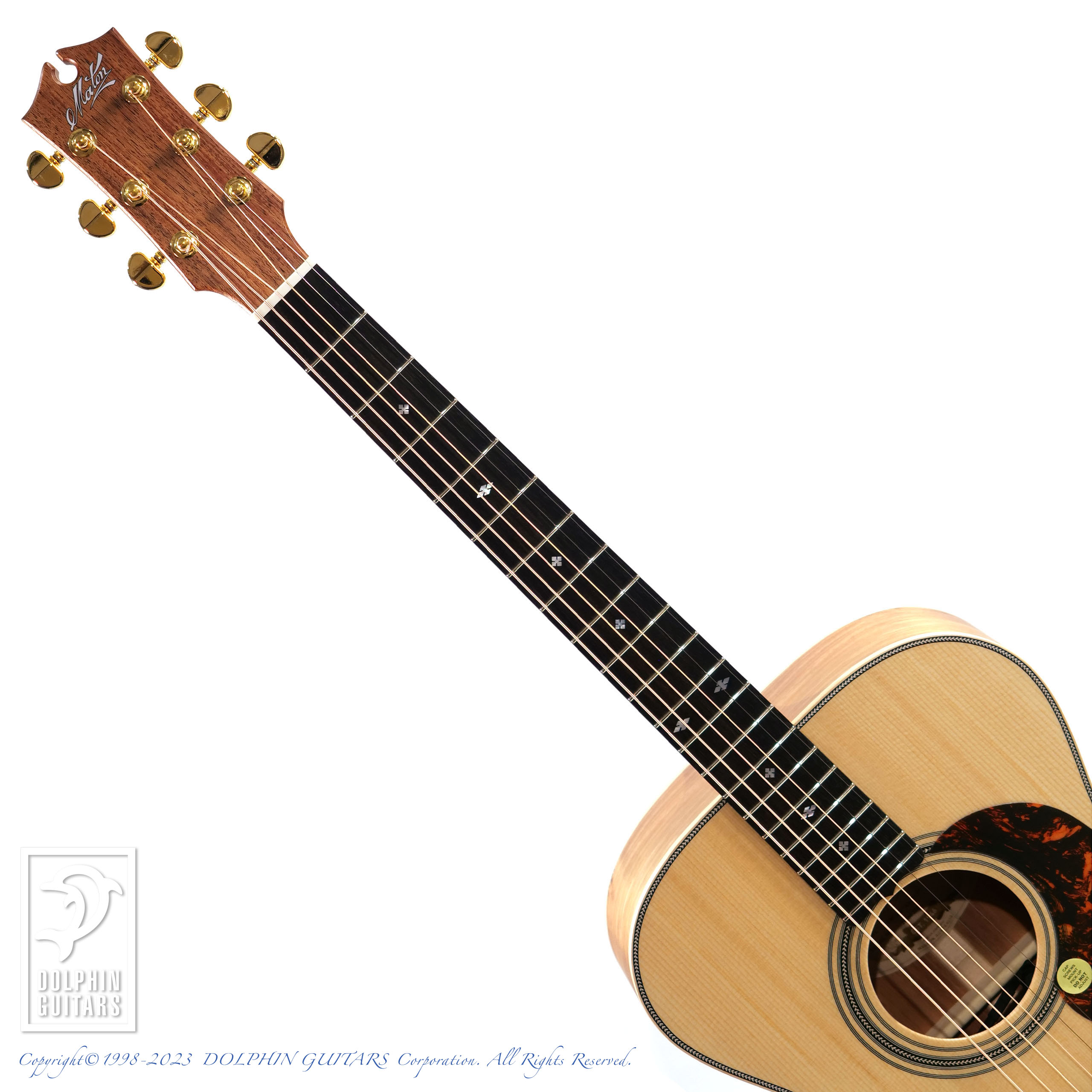 MATON EBG808 Artist|ドルフィンギターズ