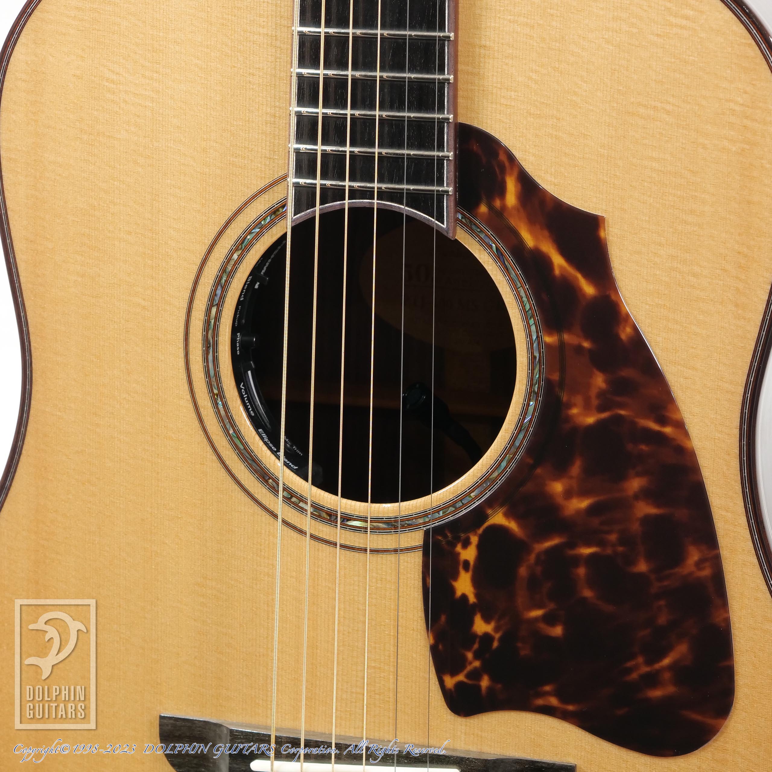 ギター GT-100 Amazon.co.jp: BOSS/GT-100 COSM Amp Effects Processor ボス