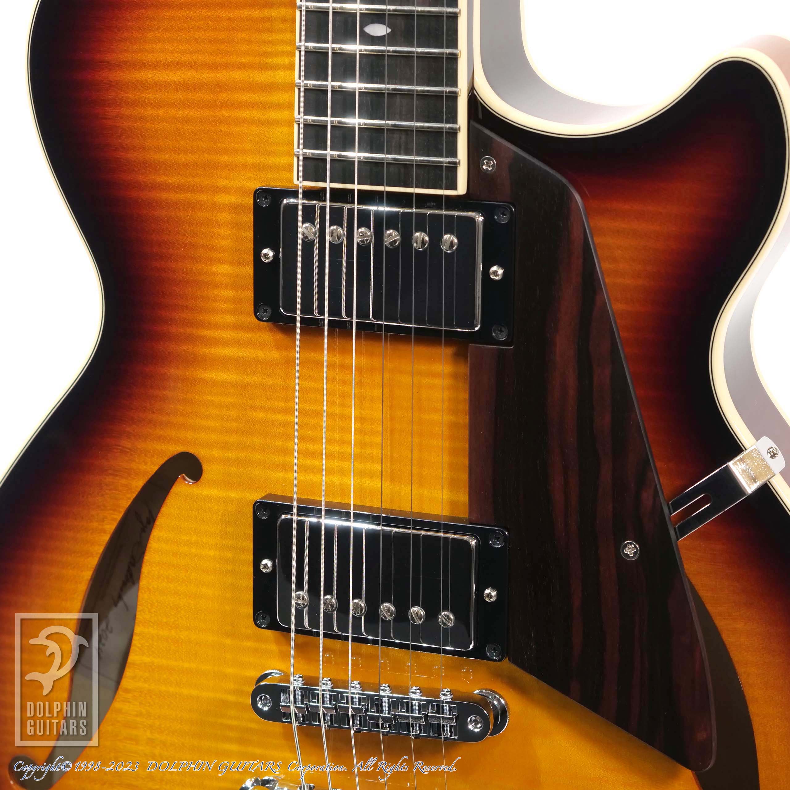 SADOWSKY Semi Hollow (TCB)|ドルフィンギターズ