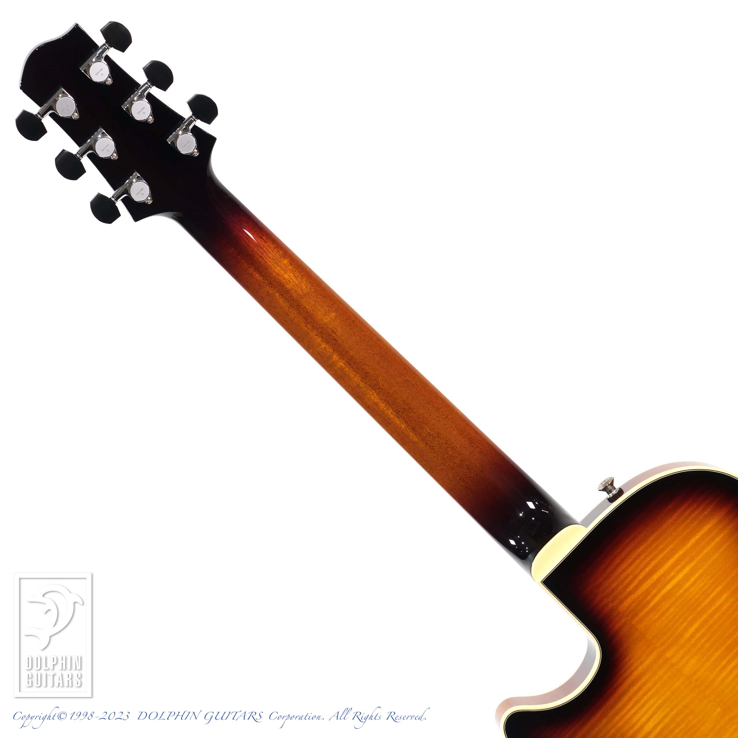 SADOWSKY Semi Hollow (TCB)|ドルフィンギターズ