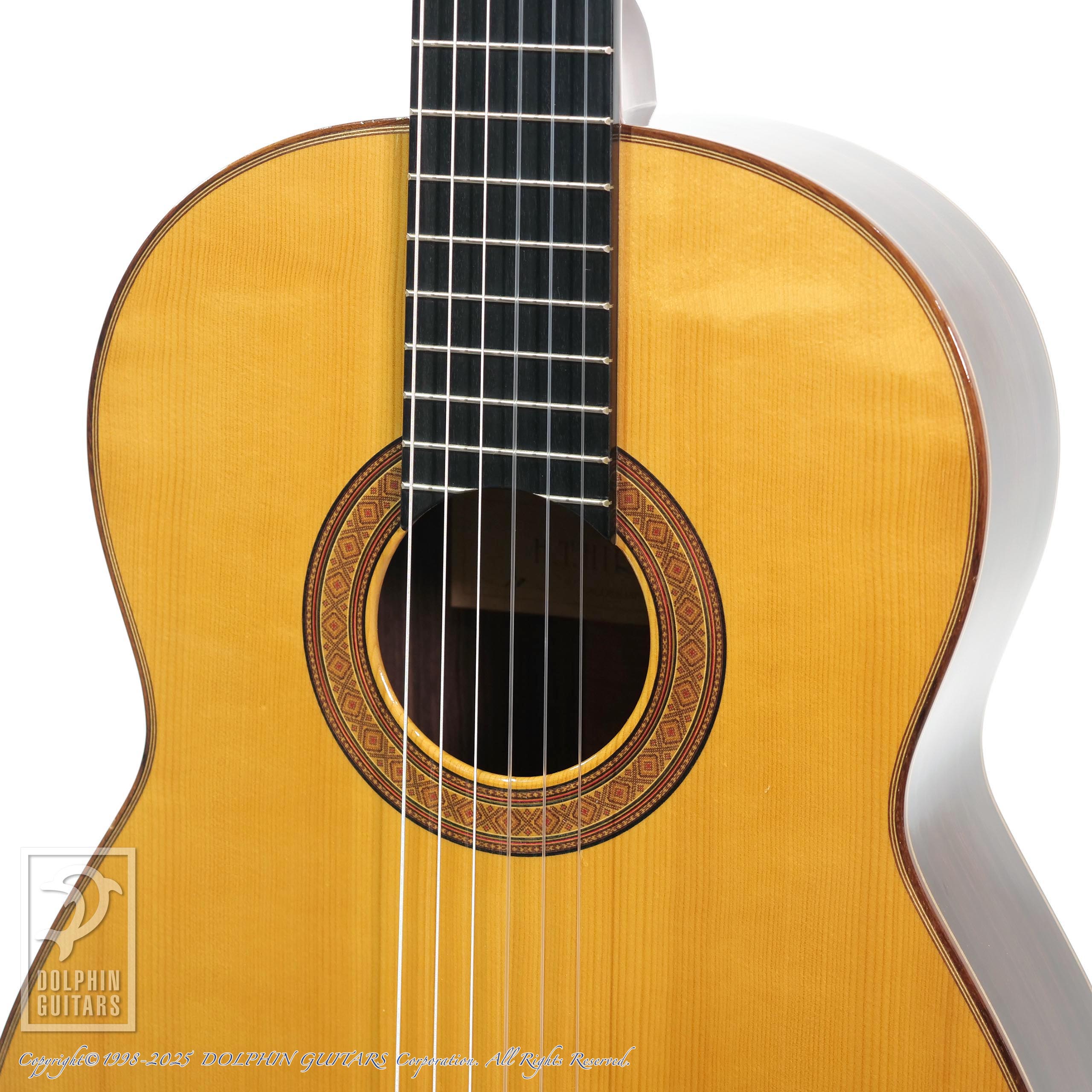 H.T.HIROSE No.10|ドルフィンギターズ