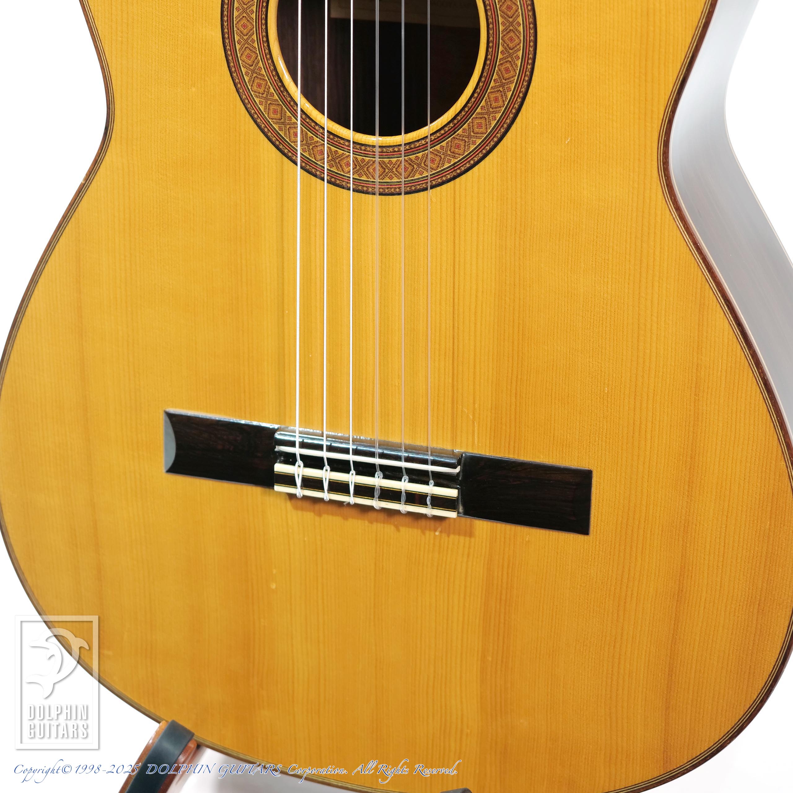H.T.HIROSE No.10|ドルフィンギターズ