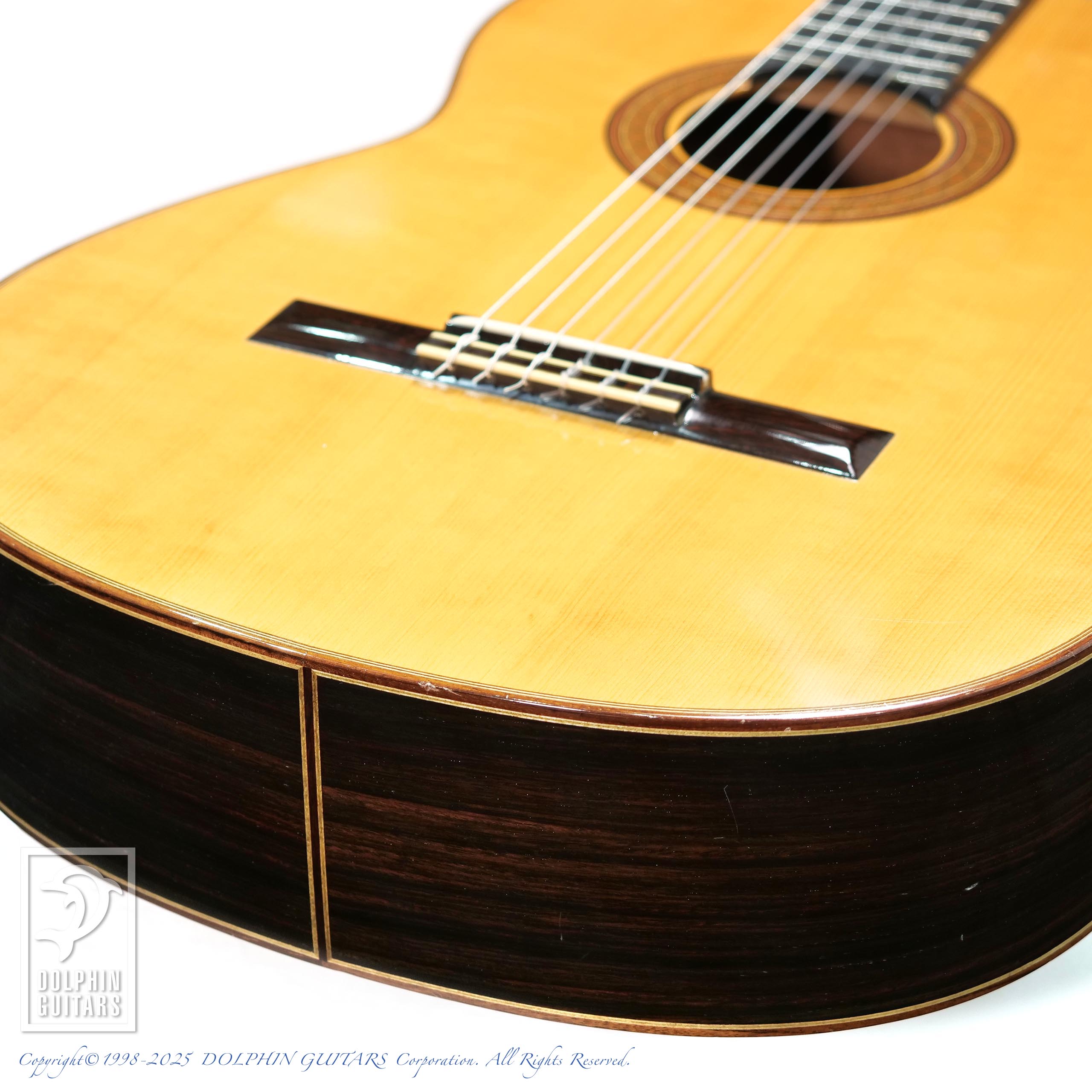 H.T.HIROSE No.10|ドルフィンギターズ