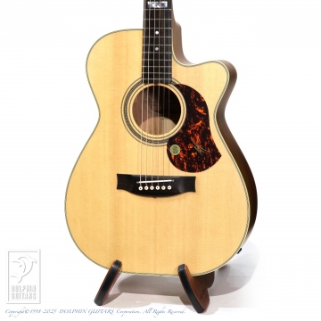 166 EBG808CTE (Tommy Emmanuel Signature)
