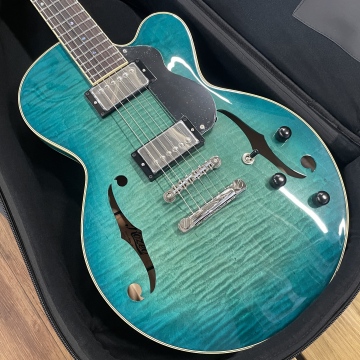 487 Ladybug-CB CM HB/Blue Burst