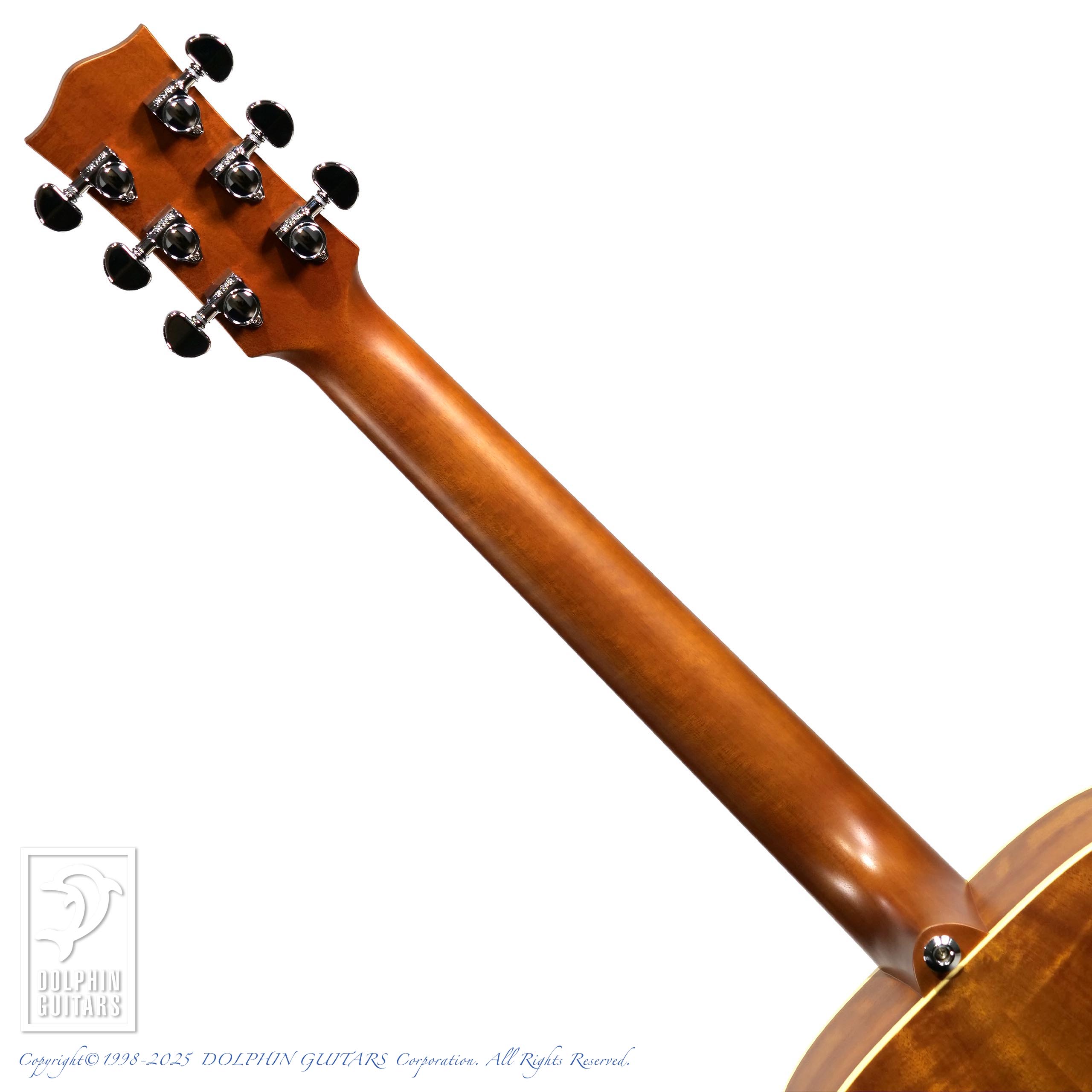 MATON EBG808TE (Tommy Emmanuel Signature)|ドルフィンギターズ