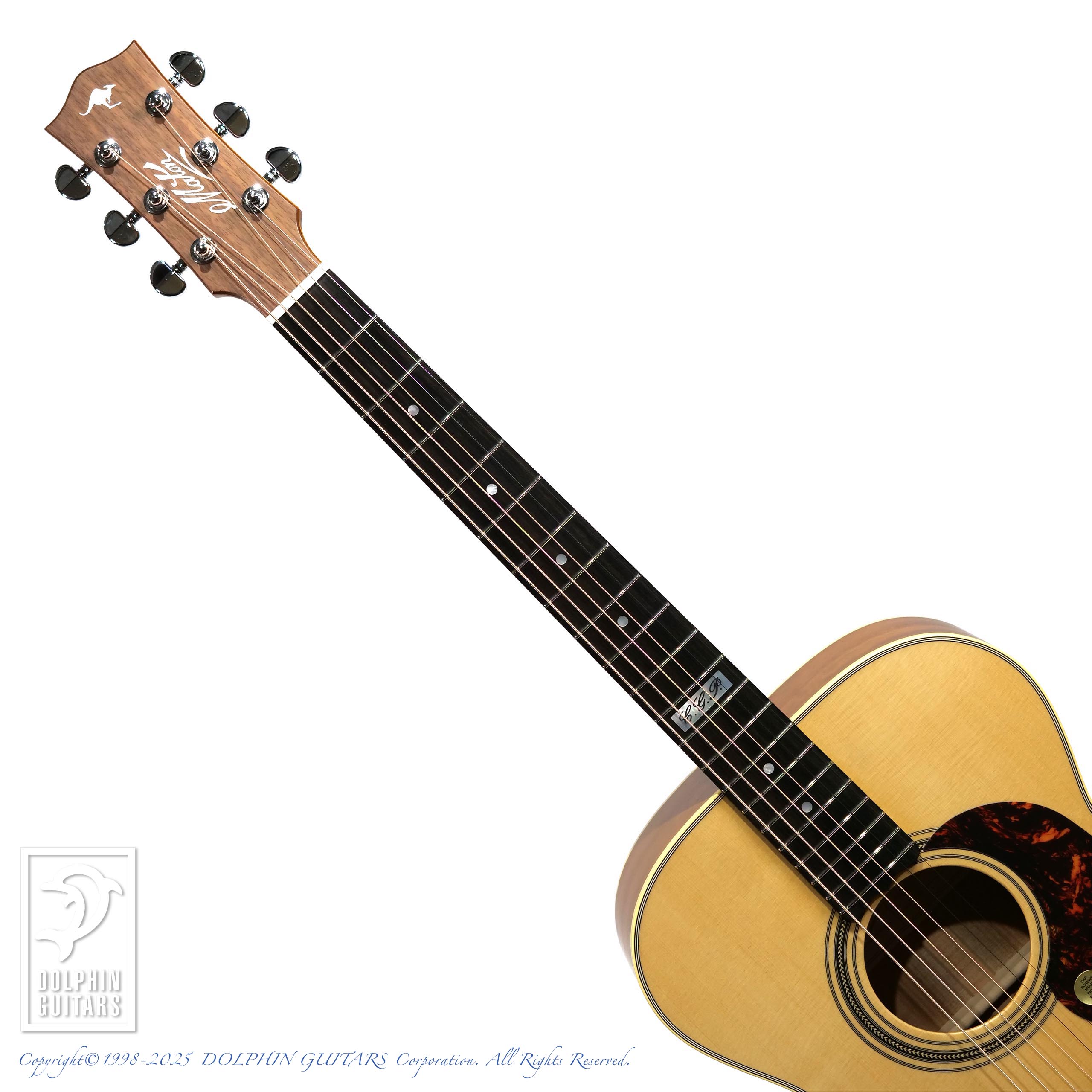 MATON EBG808TE (Tommy Emmanuel Signature)|ドルフィンギターズ