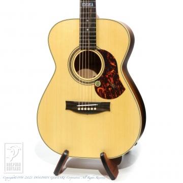 166 EBG808TE (Tommy Emmanuel Signature)