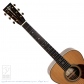E.C.Custom5