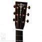 E.C.Custom7