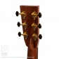 E.C.Custom8