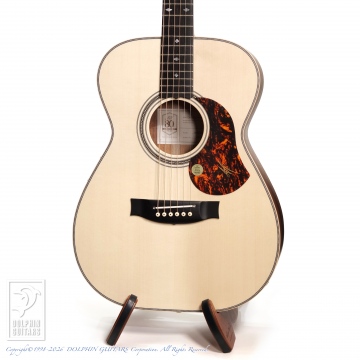 166 EBG808 Artist