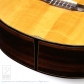 Pulchra (Nylon Strings) =Luthier's Re-Certification=14