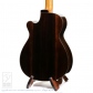 Pulchra (Nylon Strings) =Luthier's Re-Certification=3