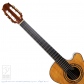 Pulchra (Nylon Strings) =Luthier's Re-Certification=5