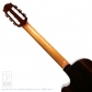 Pulchra (Nylon Strings) =Luthier's Re-Certification=6