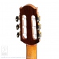 Pulchra (Nylon Strings) =Luthier's Re-Certification=8