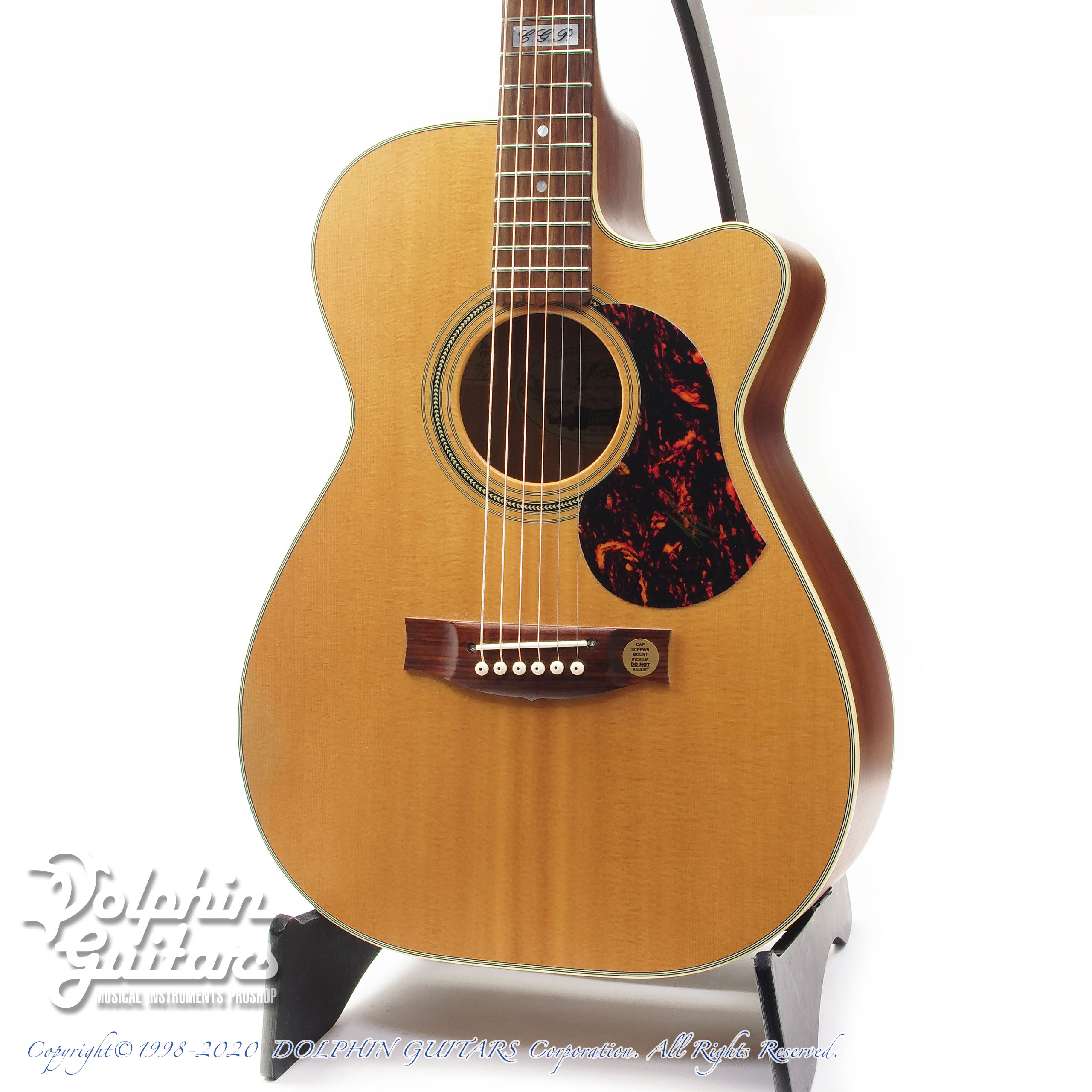 MATON EBG808C TE (Tommy Emmanuel Signature)|ドルフィンギターズ