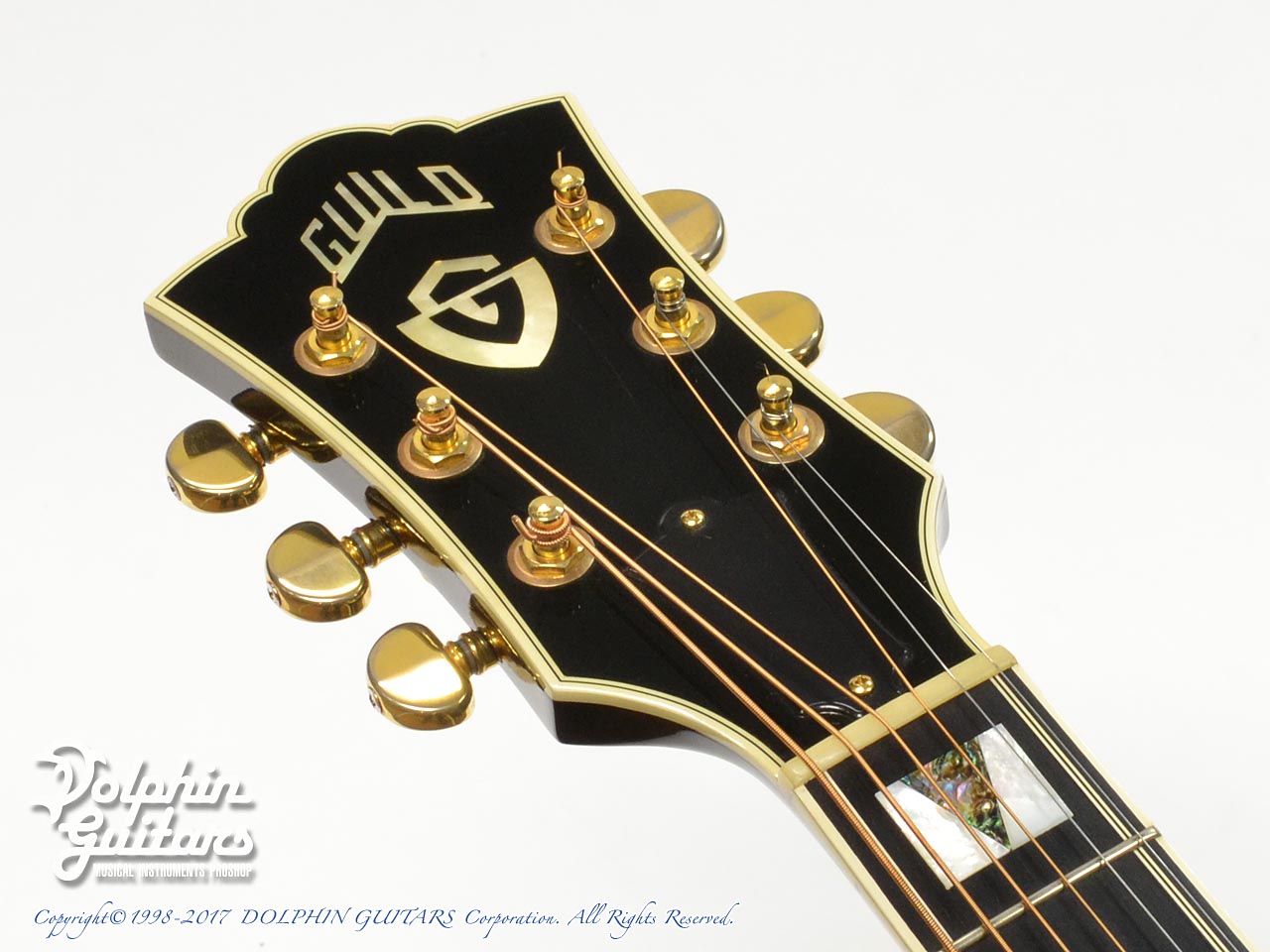 GUILD D-55|ドルフィンギターズ