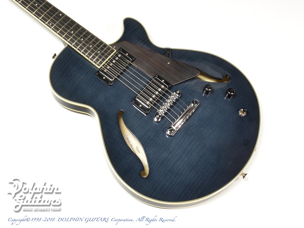 The Samick エレキギター フルホロウボディ The Samick エレキギター