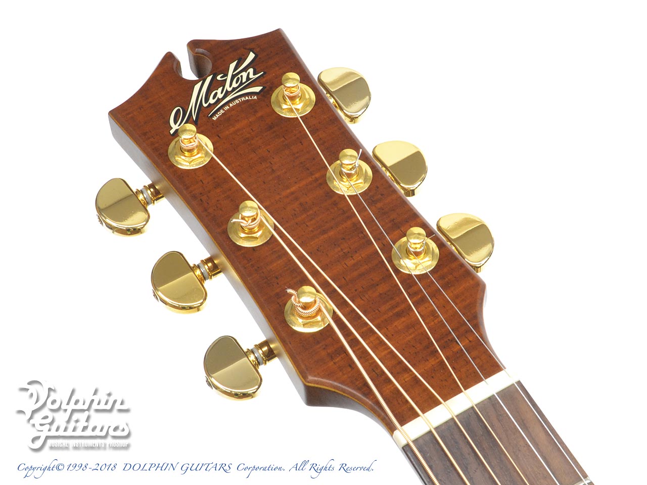 Maton 秦基博　シグネーチャーモデル　アコースティックギター MATON EBG808MH (秦 基博シグネチャー)|ドルフィンギターズ