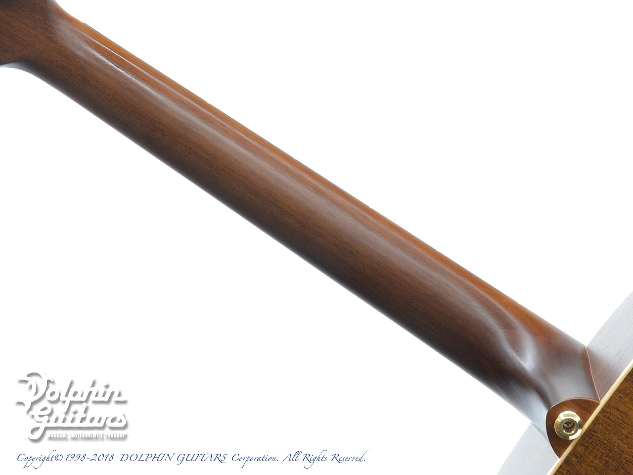 MATON EBG808MH (秦 基博シグネチャー)|ドルフィンギターズ