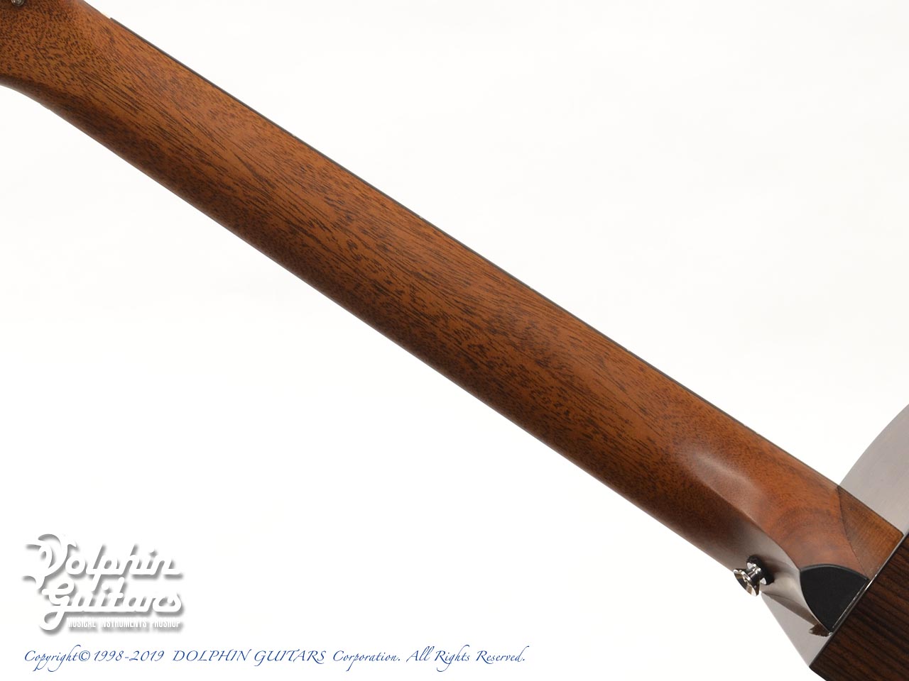 Breedlove Premier Concerto COPPER CE|ドルフィンギターズ