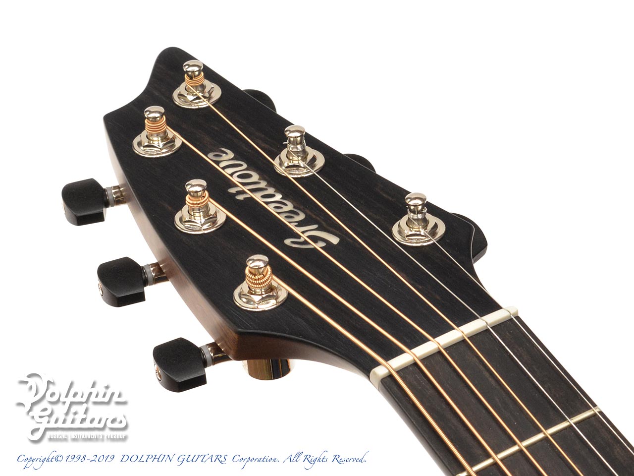 Breedlove Premier C22CE Concert|ドルフィンギターズ